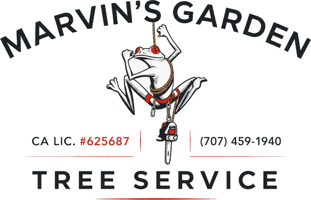 Marvin's Garden Tree Service — frog climbing a rope with chainsaw, CA Lic. #625687